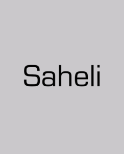 Saheli Shoes