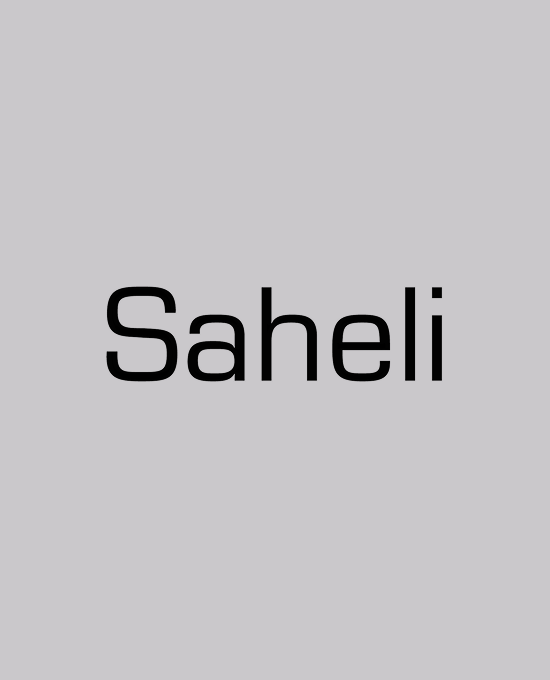 Saheli Shoes